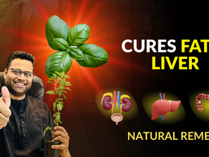 FATTY LIVER REMEDY