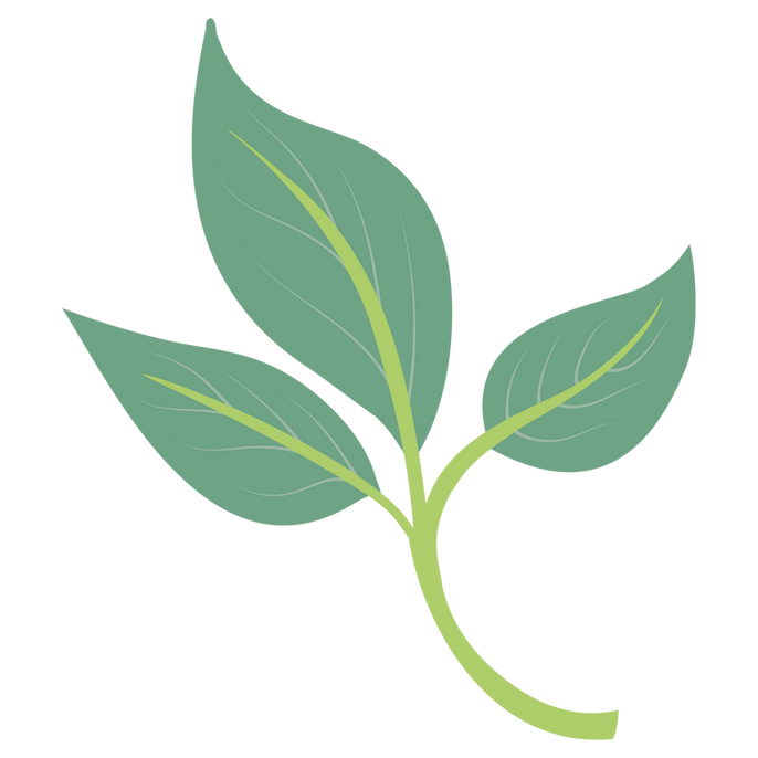 Leaf 5.png