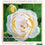 Miniature : hommes et Plantes n° 126