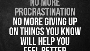 Wednesday 12/27/23 Chest & Triceps