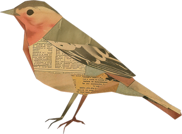 AdobeStock_1126355482-10_edited.png