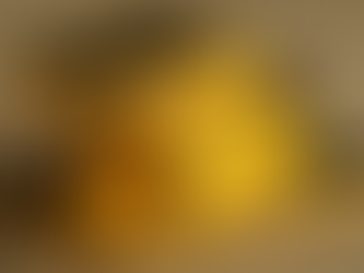 The Holy Grail of Macroeconomics