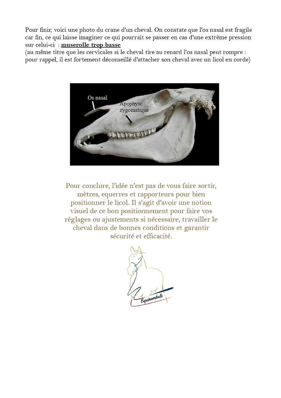 La position du licol éthologique sur la tête du cheval page 3