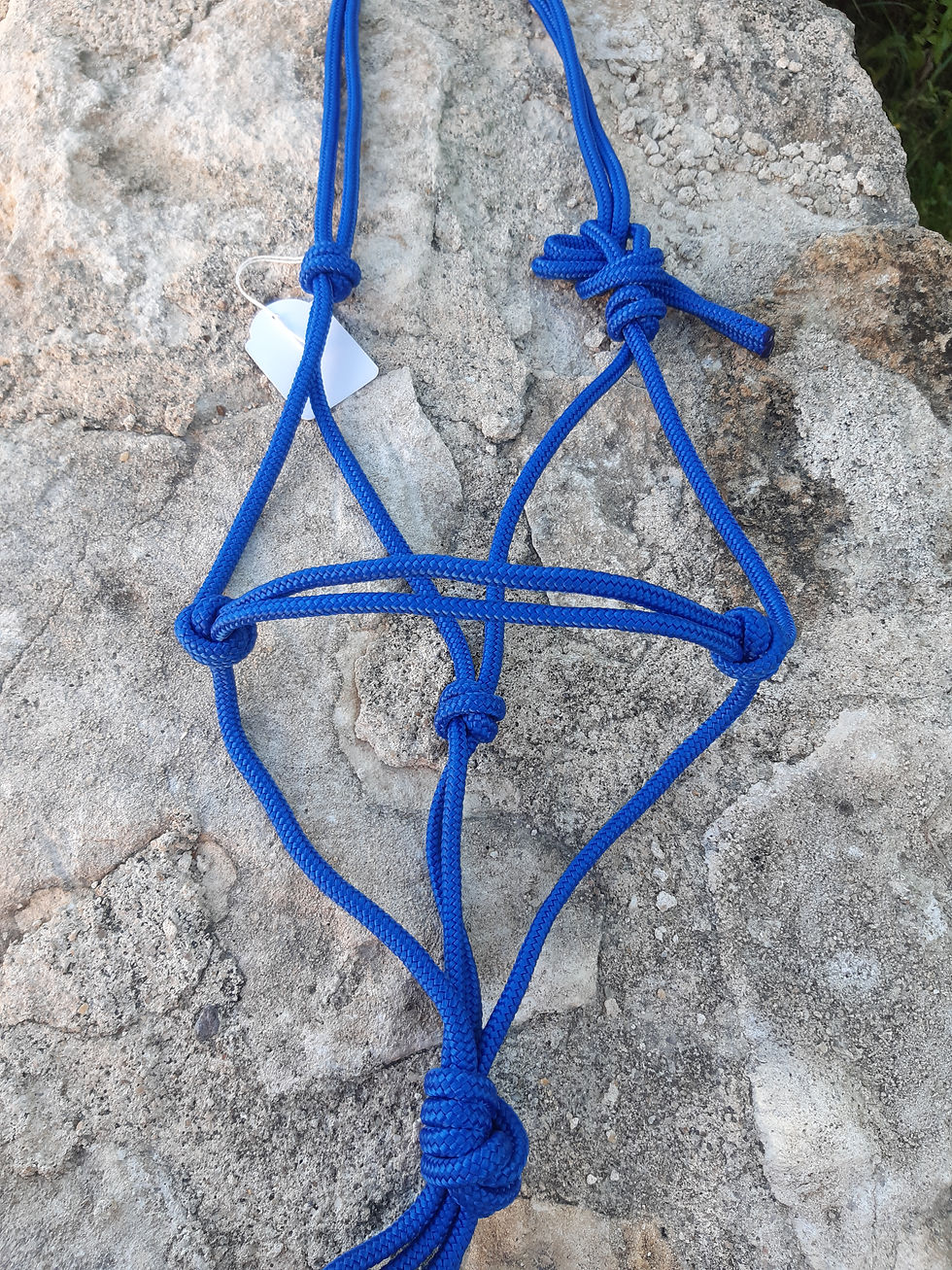 Miniature : Les Licols Gamme "l'Original"