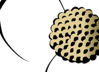 Logo design