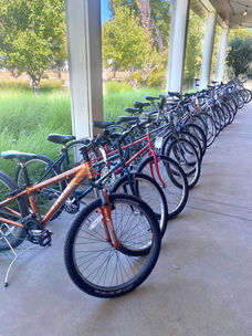 The Benefits of Choosing a Local Bike Shop