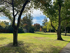 Screen Shot 2022-01-30 at 2.10.20 PM.png