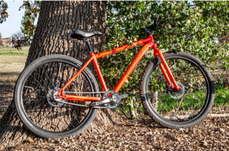 World Bicycle Day is Tuesday, June 3!