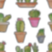 Cactus-watercolor-pattern(revised).png