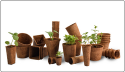 Cocopeat pots