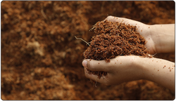 Cocopeat