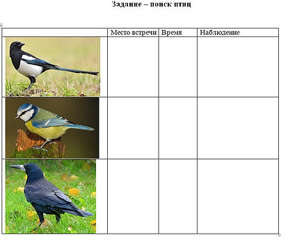 поиск птиц.jpg