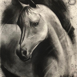 Horse - Charcoal