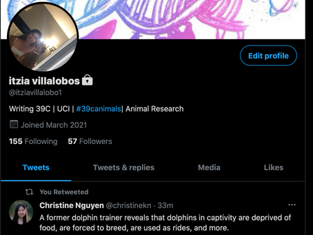 Blog Responses and Twitter Updates