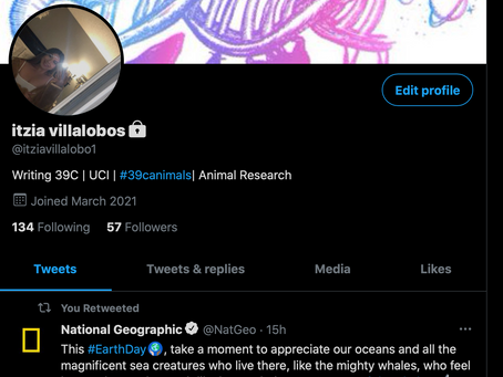 Week 4 twitter update