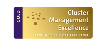 Nanoprogress Confirms Its European Excellence Once Again: Gold Label Successfully Renewed in December