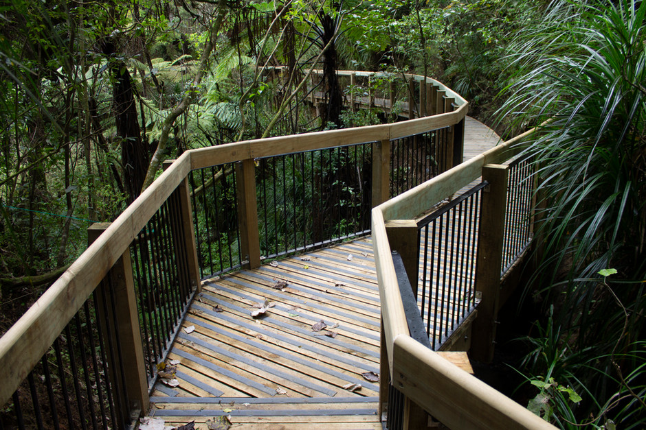 Little Shoal Bay - LeRoy's Bush Walkway