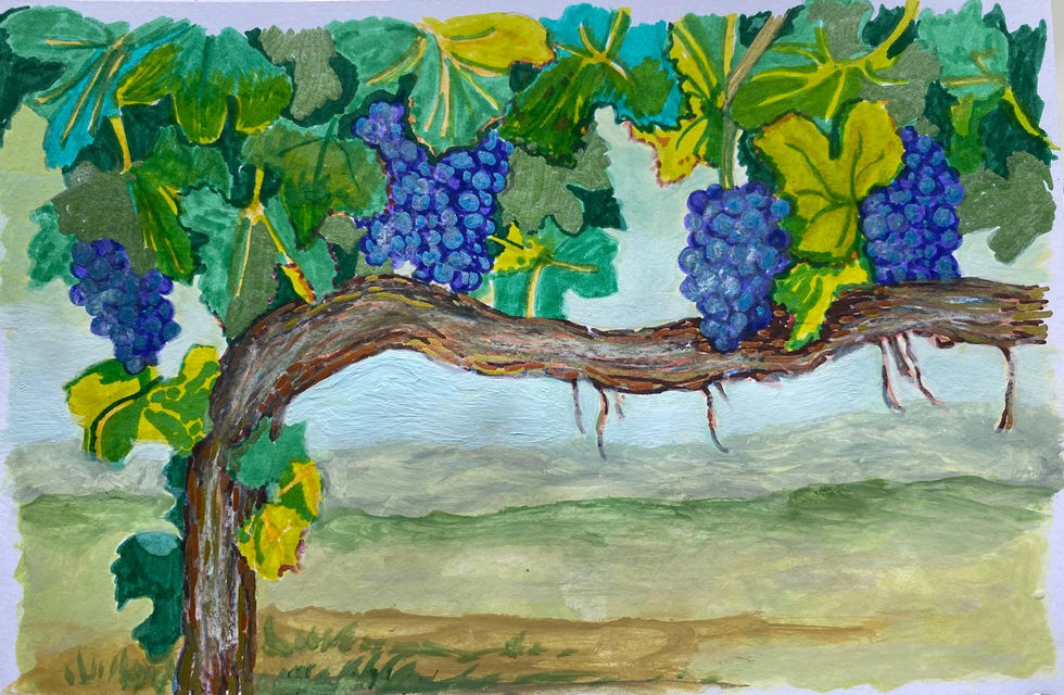 WhatsApp Image 2026-01-21 at 11.44.35