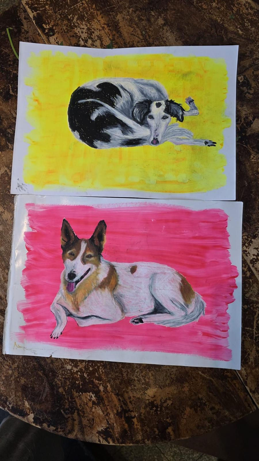 WhatsApp Image 2026-01-21 at 11.45.00