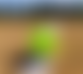 JW's One & Only Boys' Softball Team by Theo L.