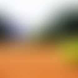 The Struggles of the JW Boys Softball Season by Andrew J. and Evan L.