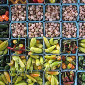 I Took a “Trip” to the Farm by Nuala G.