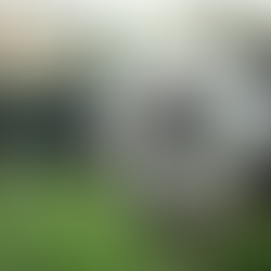 JW Student Interviews: Girls’ Soccer Tryouts & Season Expectations by Josie W.