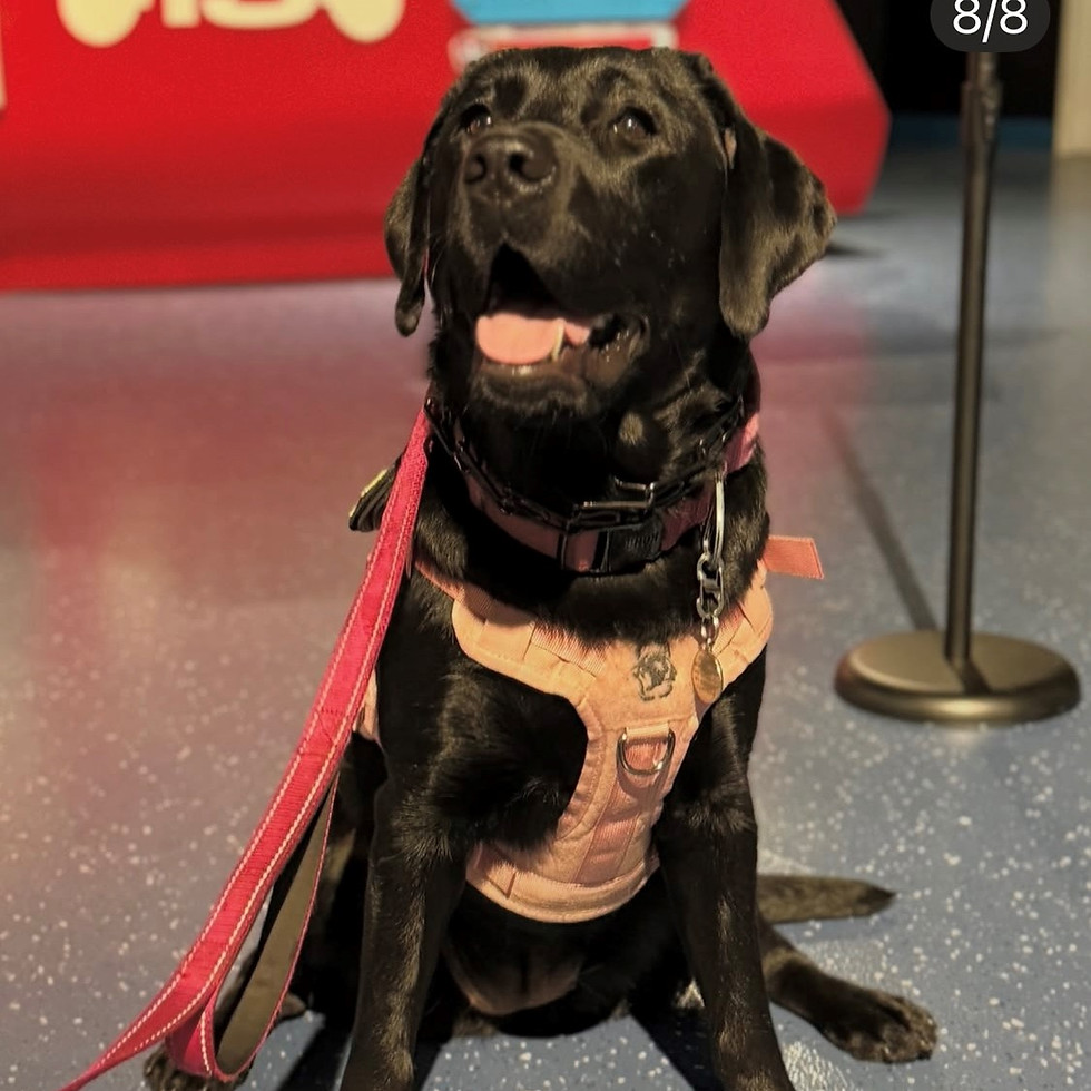 Pepper.jpg