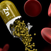 The role of Zinc in hair loss