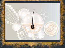 Key Growth Factors Involved in Hair Growth and Hair Loss