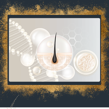 Key Growth Factors Involved in Hair Growth and Hair Loss