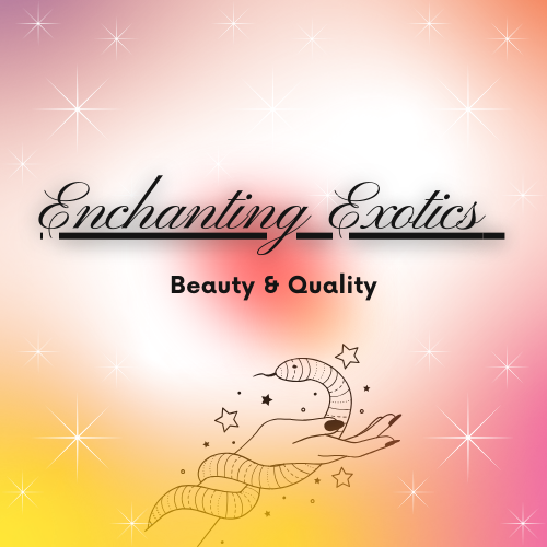 Available Animals | Enchanting Exotics