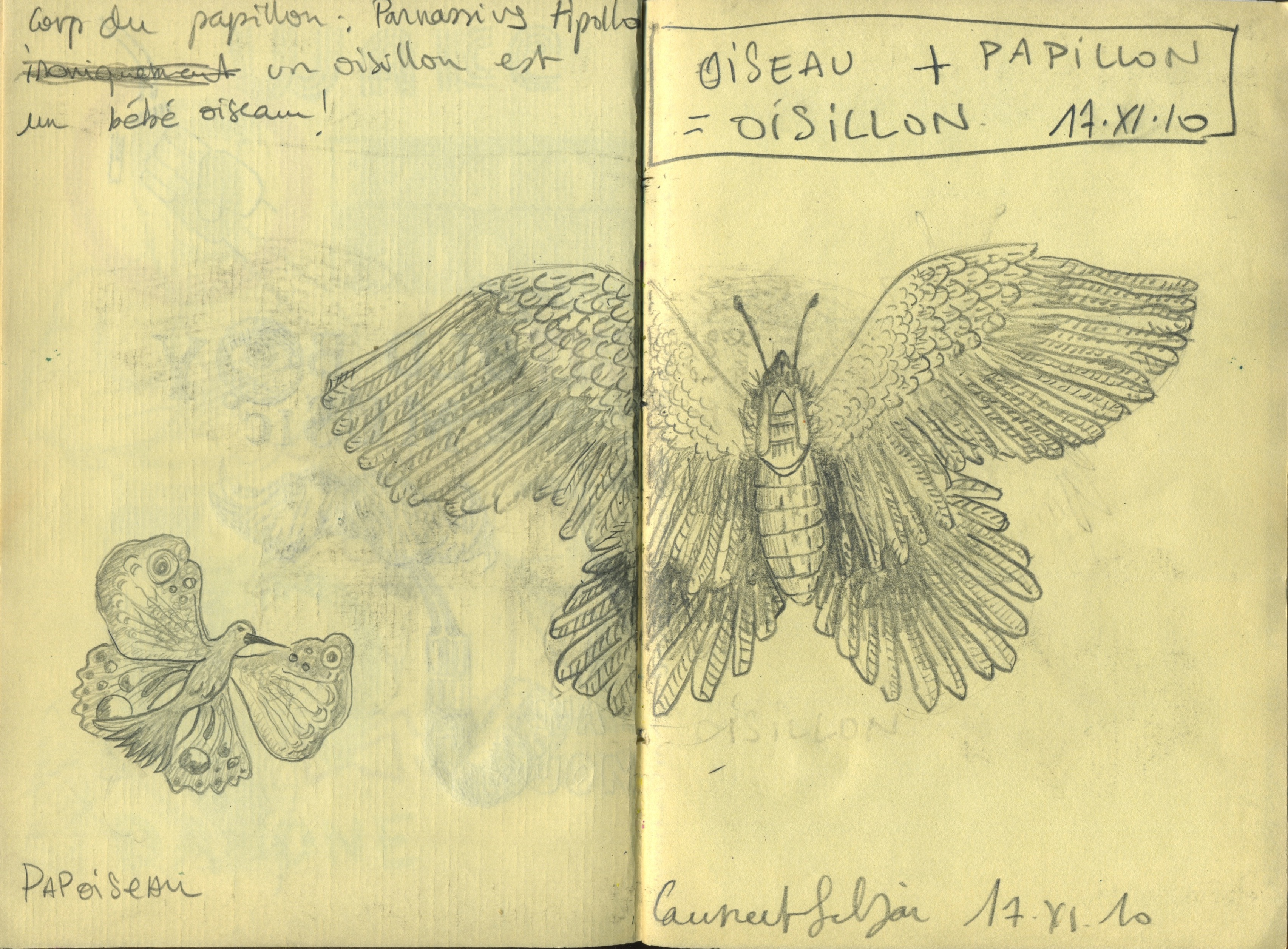 Pages 35 et 36