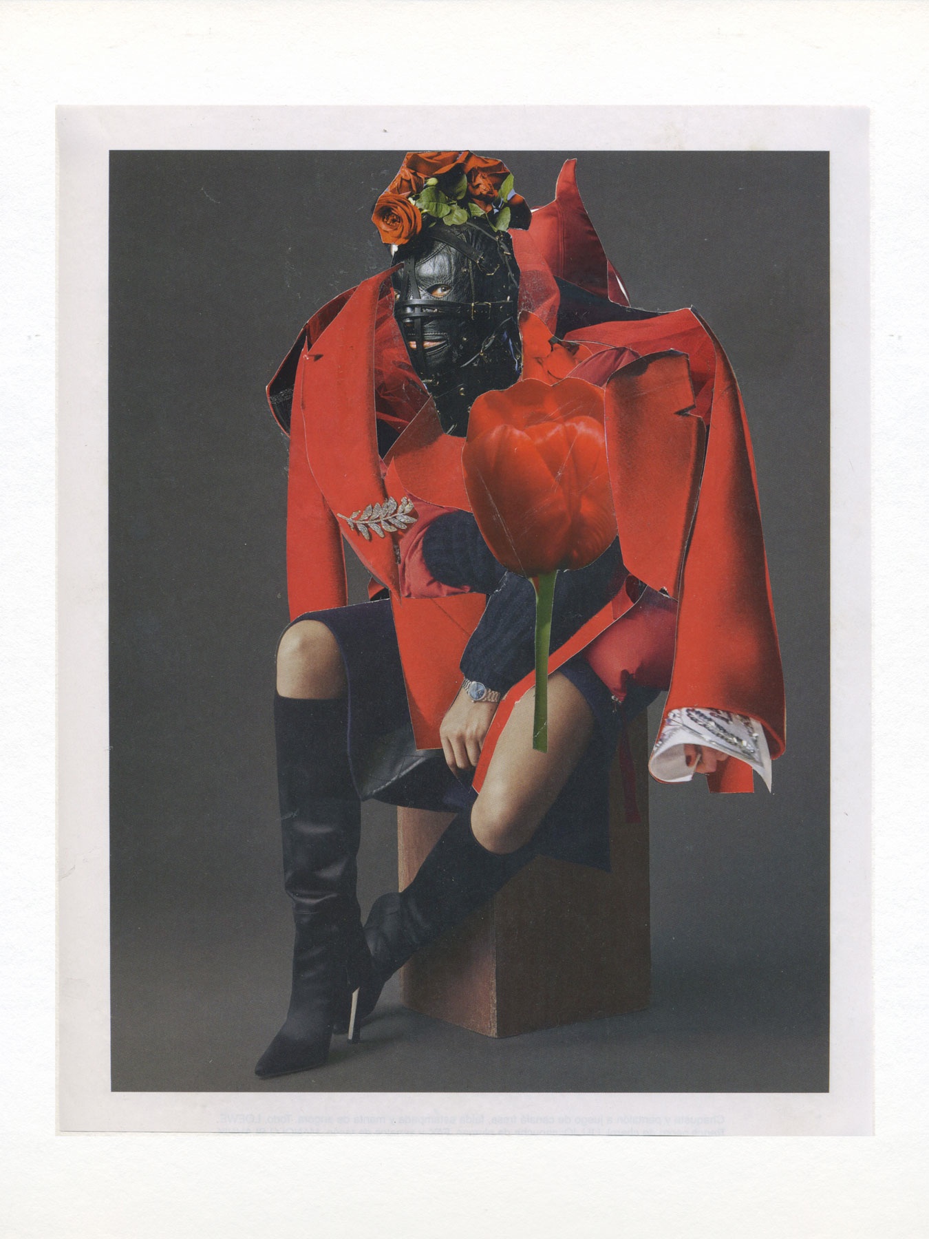 " The Queen of hearts"