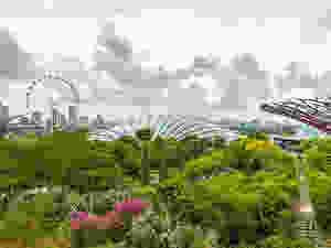 Gardens by The Bay