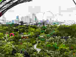 Gardens by The Bay