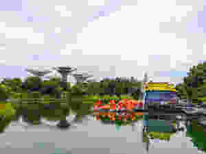Gardens by The Bay