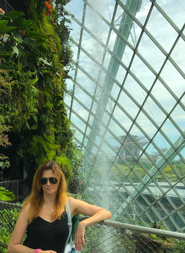 Cloud Forest