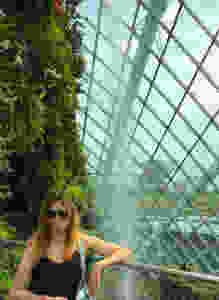 Cloud Forest