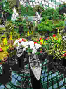 Flower Dome