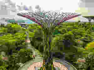 Gardens by The Bay