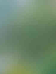 Huangguoshu scenery spot