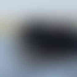 Elephant swimming in river of Chobe National Park