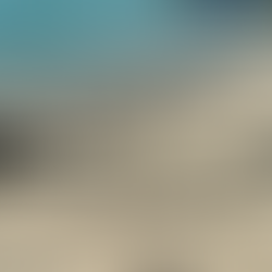 Boulder's Beach penguins all together