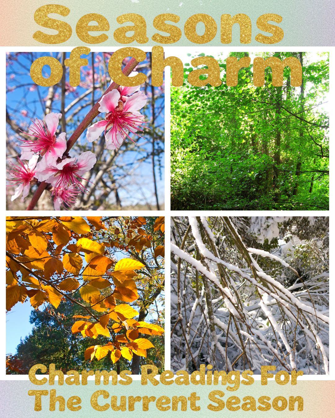 Seasons of Charm - Charms Readings for The Current Season