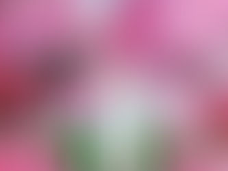 Allow Yourself To Be Led By Your Curiosity