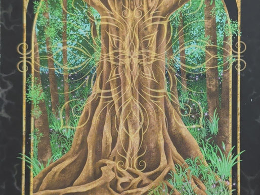 Root Into Yourself, Ground Into The Earth