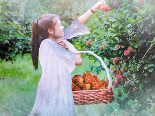 Bless Your Body With Nutritious Food