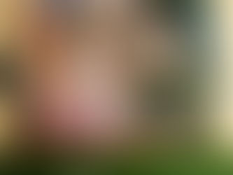 Patiently Nurture Your Thoughts