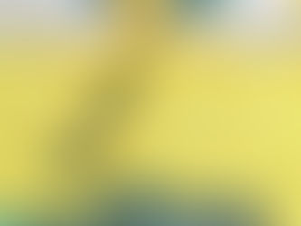 For Every Problem, There Is A Guaranteed Solution